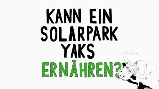 Kann ein Solarpark Yaks ernähren?